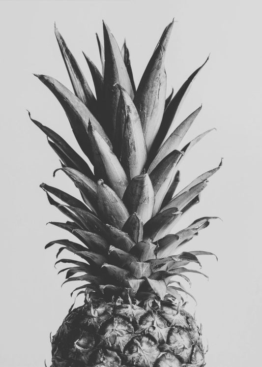 Pineapple Black &amp; White 02 | Canvas