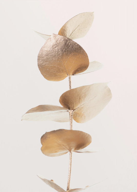 Eucalyptus Gold No 06 | Canvas