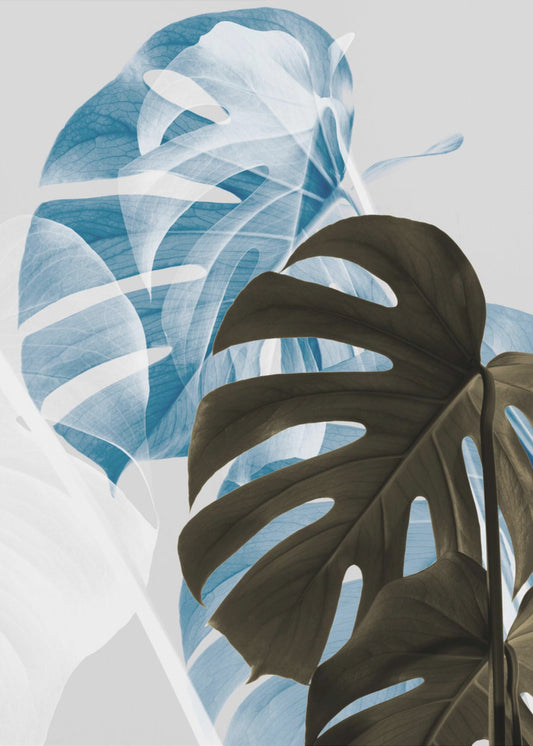 Monstera Creative 02 | Canvas