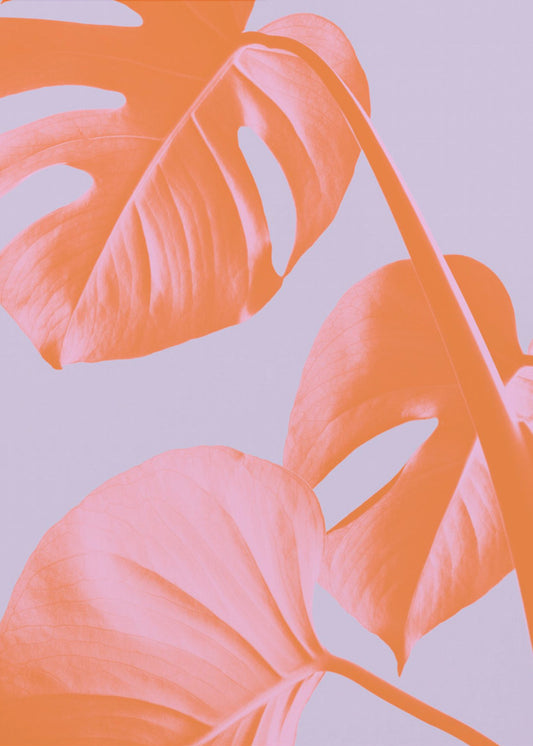 Monstera Purple 03 | Canvas