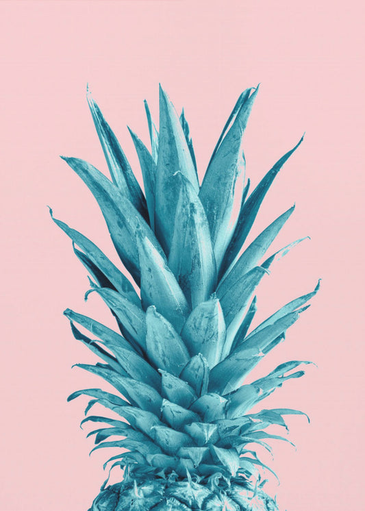 Pineapple Pink 07 | Canvas