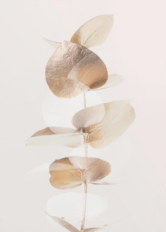 Eucalyptus Creative Gold 04 | Canvas