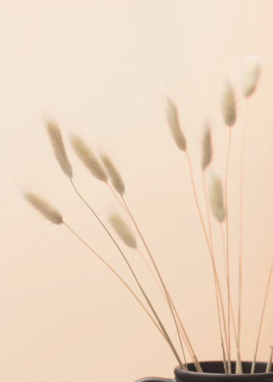 Bunny Grass Peach 01 | Poster