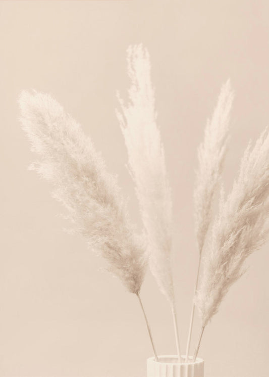 Pampas Grass Beige 05 | Poster