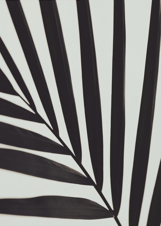 Graphic palm leaf_1 | Canvas