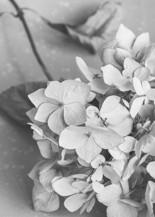 Dried Flowe ron Plate_black &amp; white | Canvas