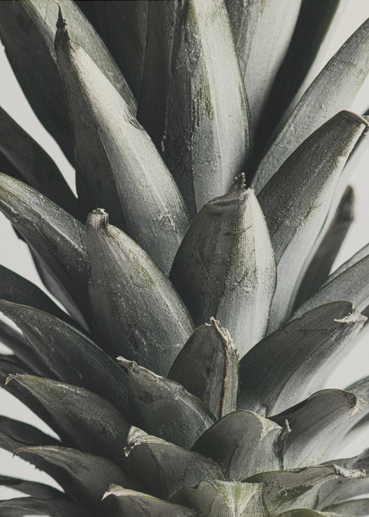 Pineapple close up | Poster
