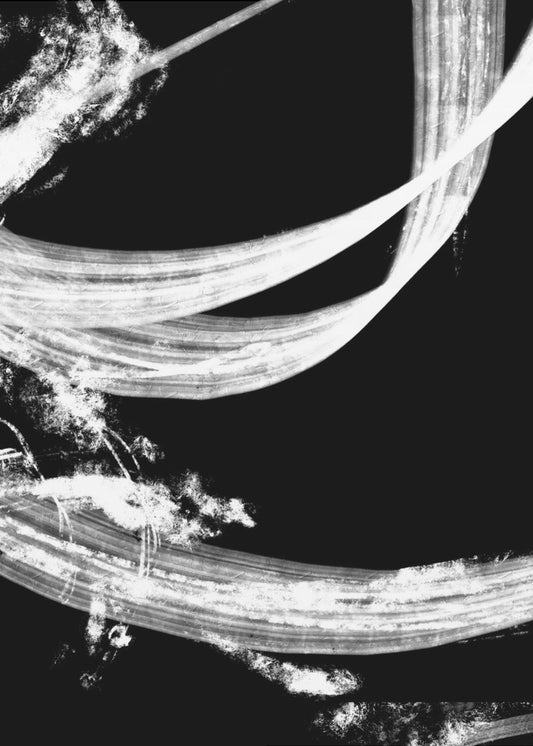 negatives_006_tapestry | Poster