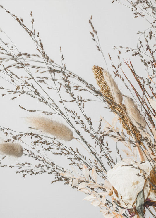 Dried_008 | Canvas