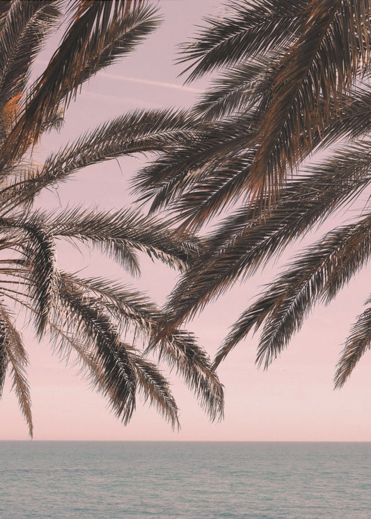 Palm_011 | Poster