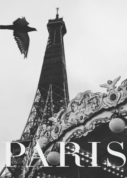 Paris Dove | Canvas