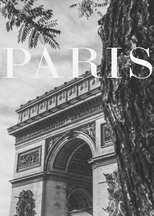 Paris Text 7 | Canvas