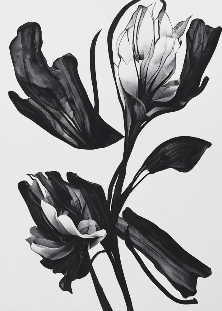 Flor negra | Impresiones en Lienzo