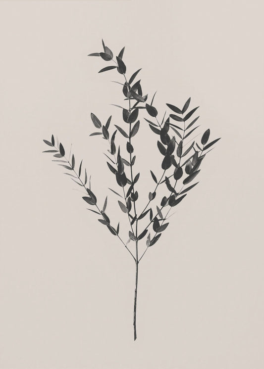 Tintenfarbenes Botanisches | Poster - Kunstdruck