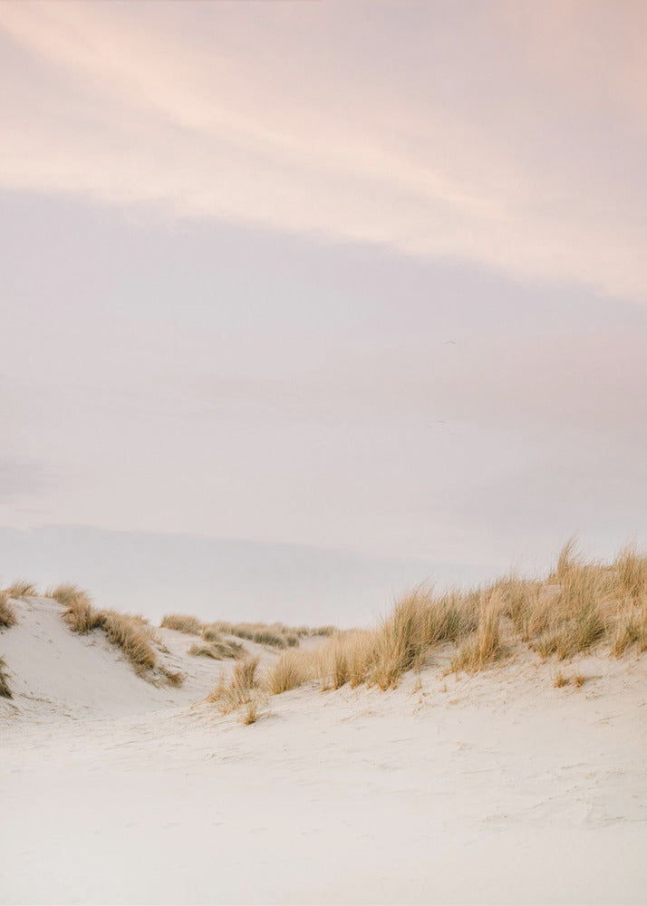 Dunes d'Ameland 3 | Tableaux sur Toile
