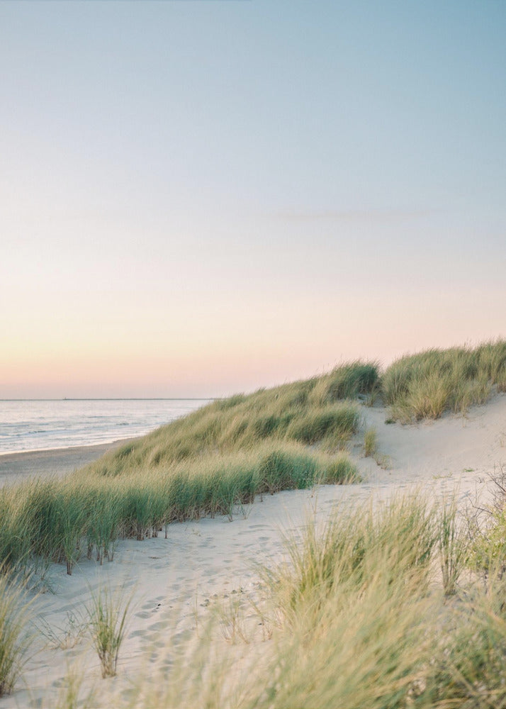 Dunes hollandaises | Tableaux sur Toile