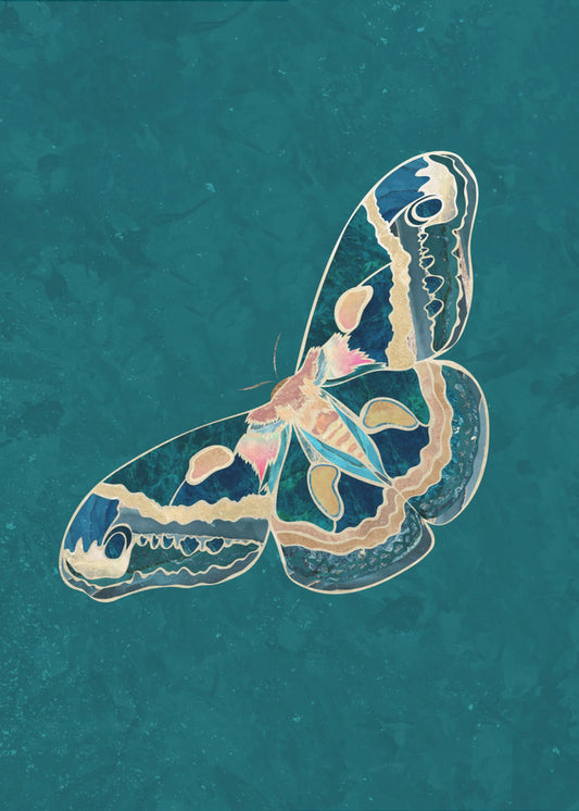 Turquoise Gold Moth Butterfly | Canvas
