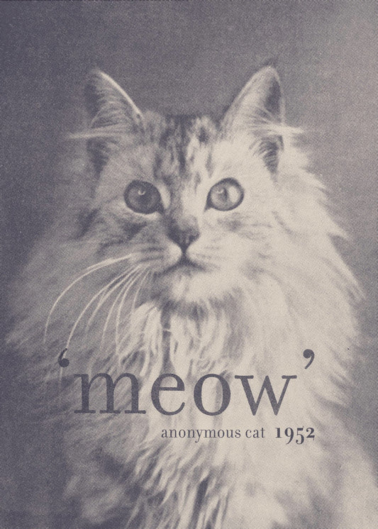Berühmtes Zitat Katze | Poster
