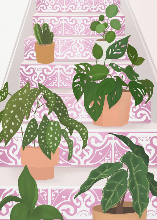 Plants | Canvas