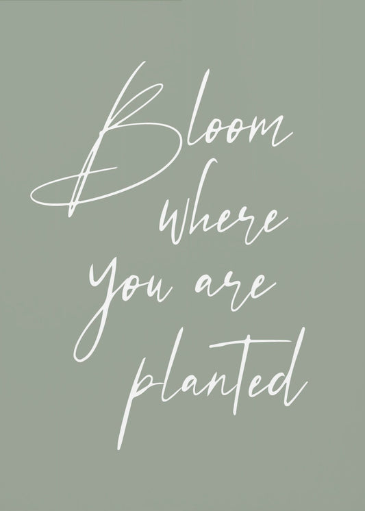 Bloom | Canvas