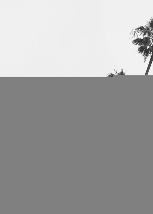 Tall Palm Parade | Canvas