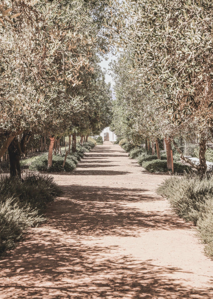 Geheimer Garten | Leinwand-Bilder