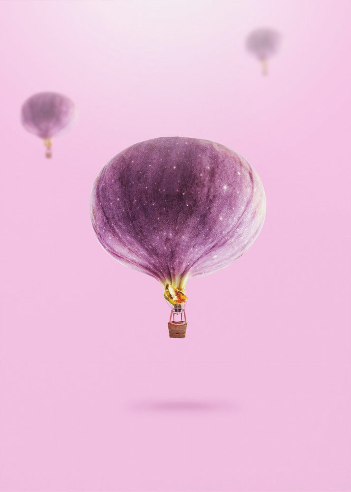 Feigenballons | Poster - Kunstdruck