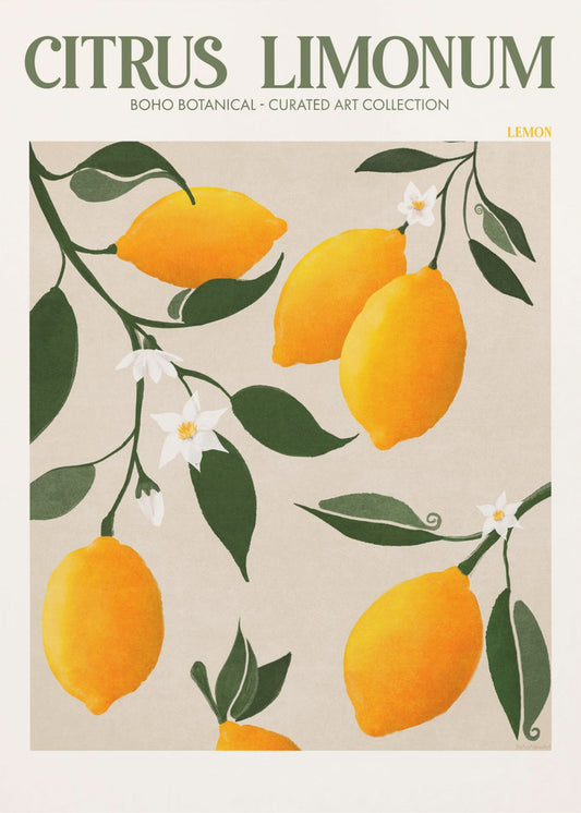 Citrus Limonum – Zitrone | Leinwand-Bilder
