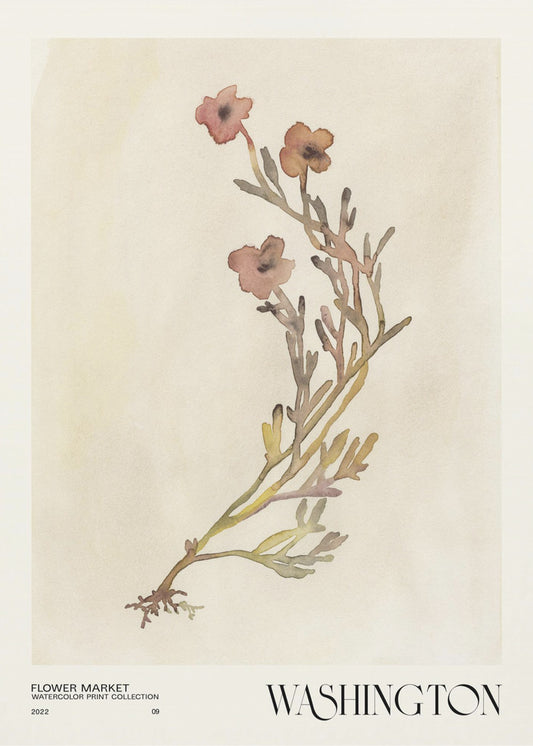 Watercolor print collection. Flower market - Washington | Poster