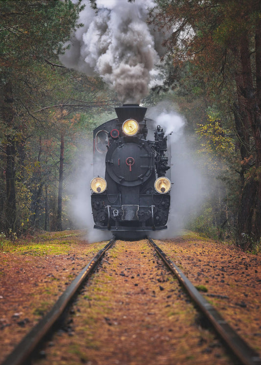 Through the autumn forest | Canvas