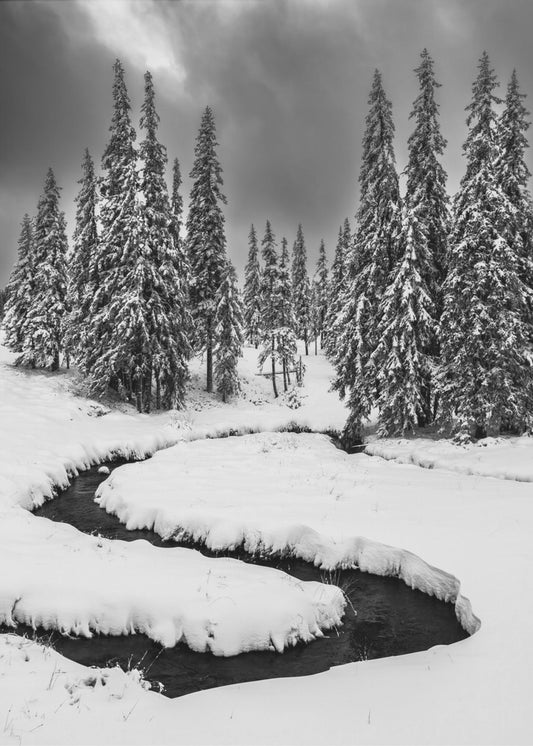 First Snow | Canvas