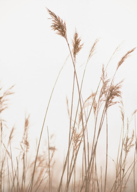 Marsh Grass No.6 | Canvas
