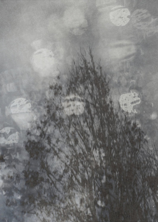 Moody tree | Canvas