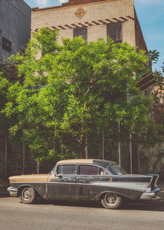 Brooklyn Ride | Canvas