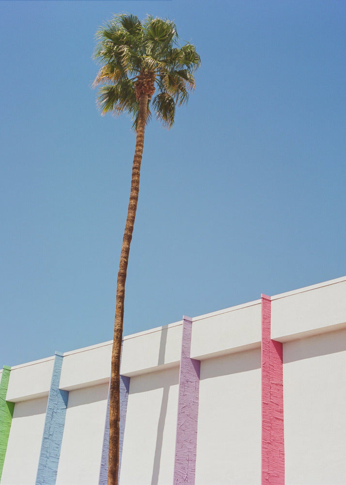 Palm Springs II | Leinwand-Bilder