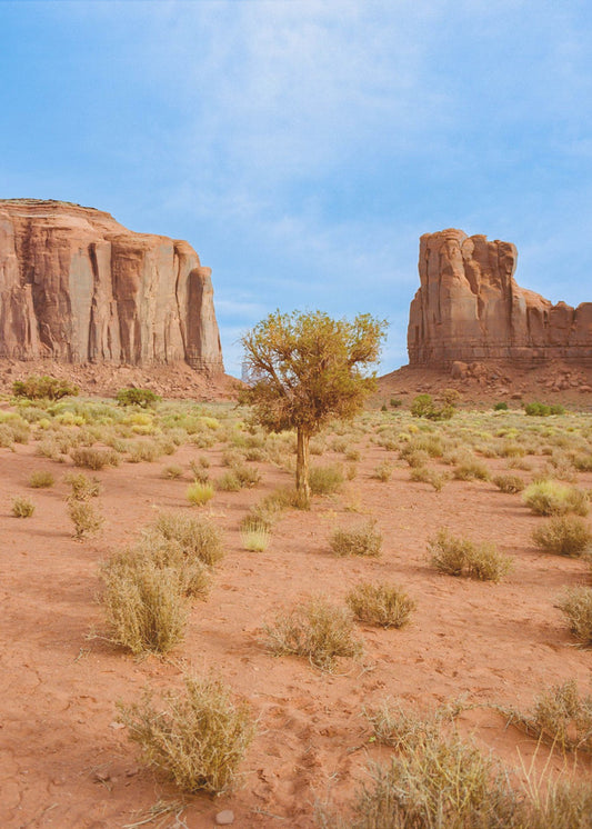 Monument Valley X | Canvas