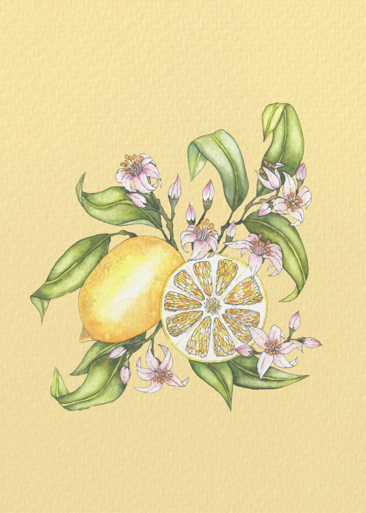 Citronillustration | Canvastavla