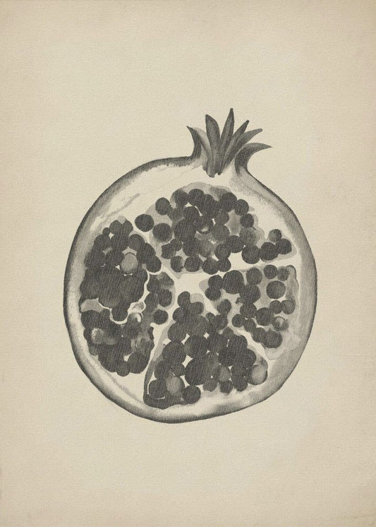 Vintage pomegranate | Poster