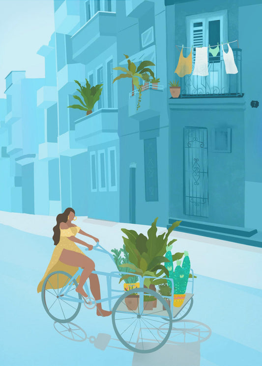 Havana | Canvas
