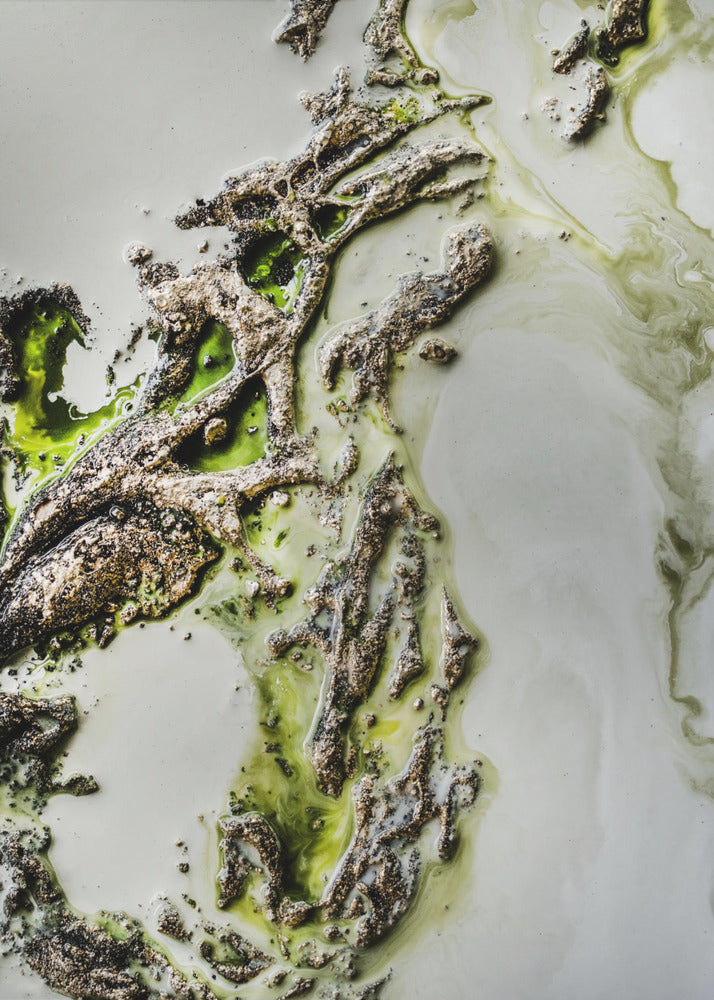 Contemporary Art - Olive Enigma -  Green accent | Canvas