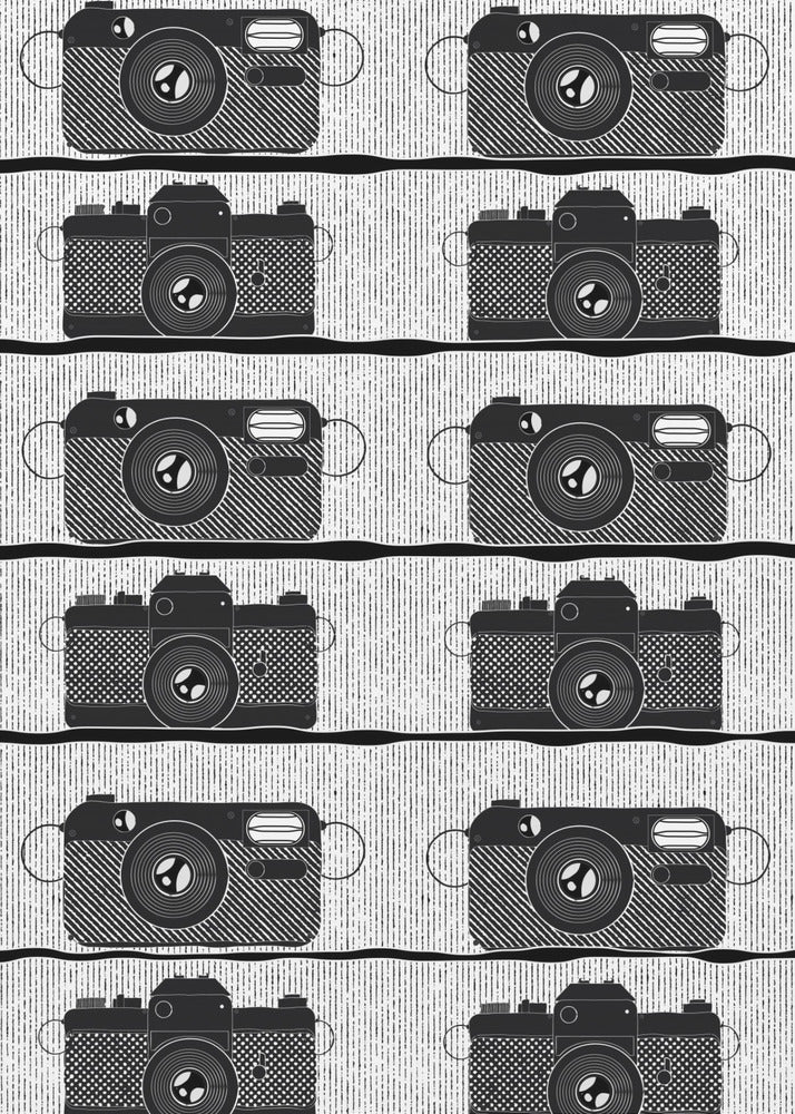 Camera Store | Canvas