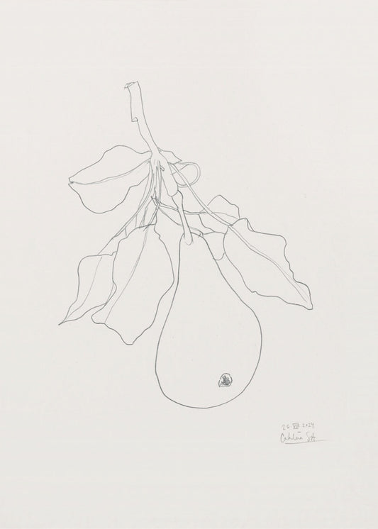 Elegante Birnenskizze | Leinwand