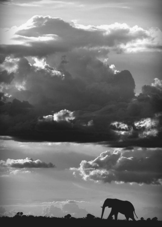 He walks under an African Sky | Poster