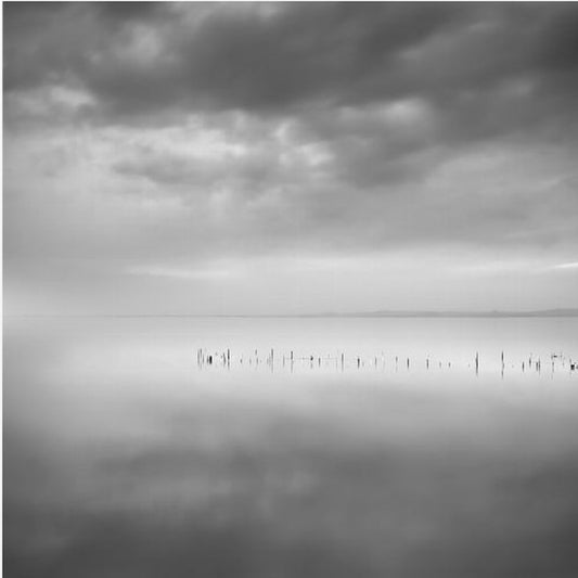 Sixty shades of gray | Canvas