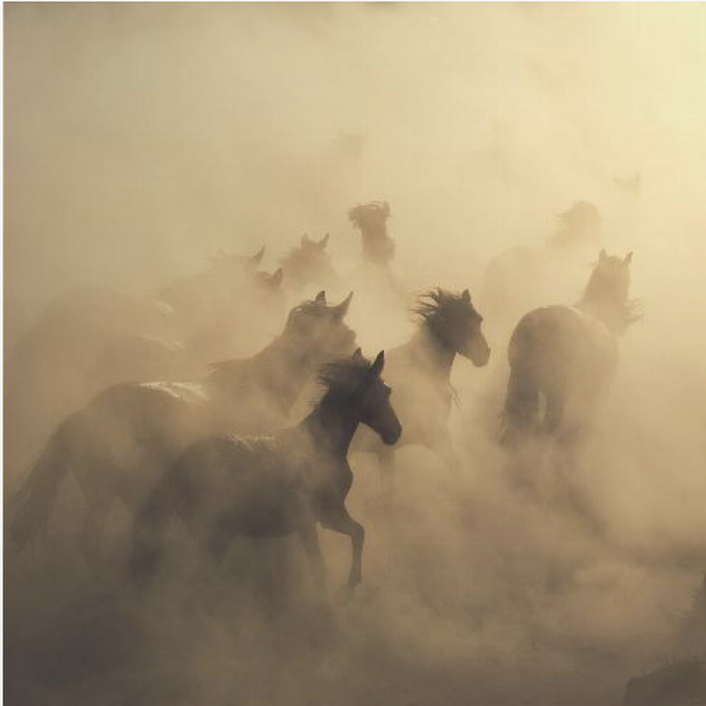 migration of horses | Poster