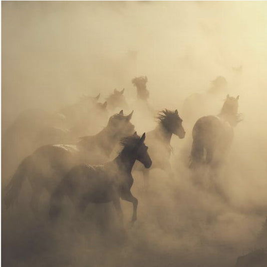 migration of horses | Poster