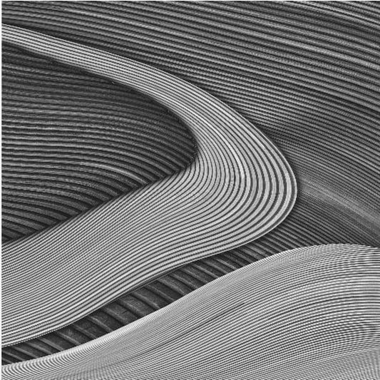 The wood project III - Zen garden | Poster
