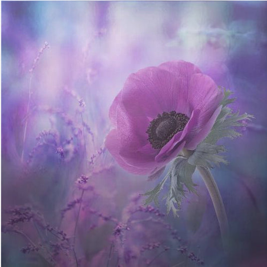 Ecstasy | Canvas
