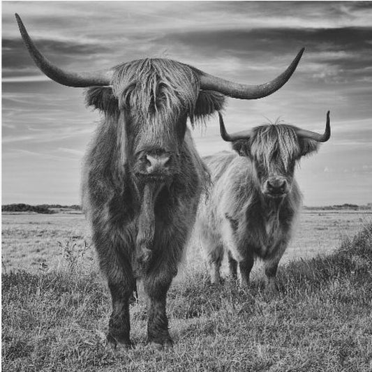 Highlands | Canvas