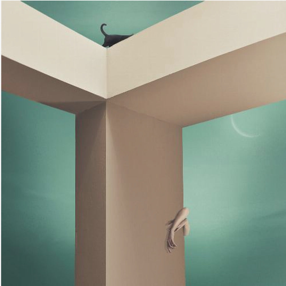 Seek and Ye Shall Find  - Y | Canvas